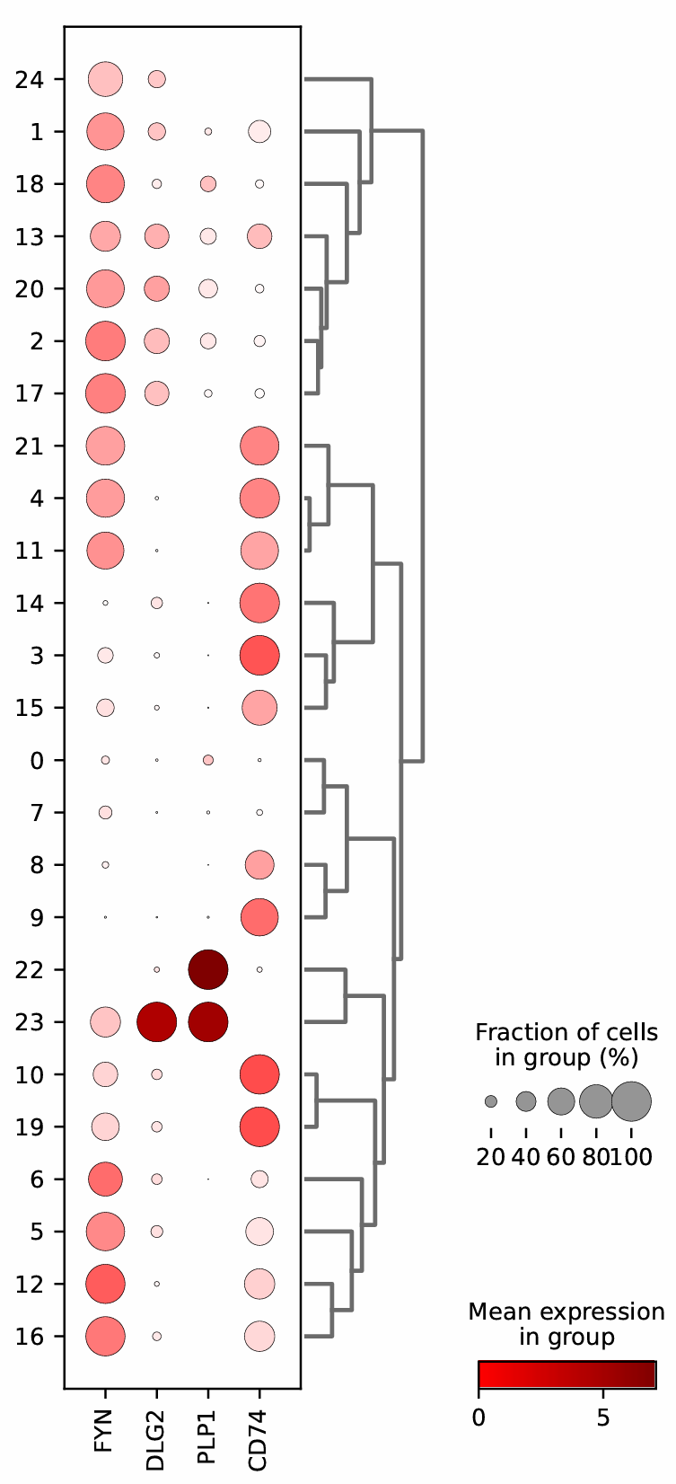 result image